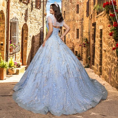 Quinceañera Dress QY301 by QuinceGirl
