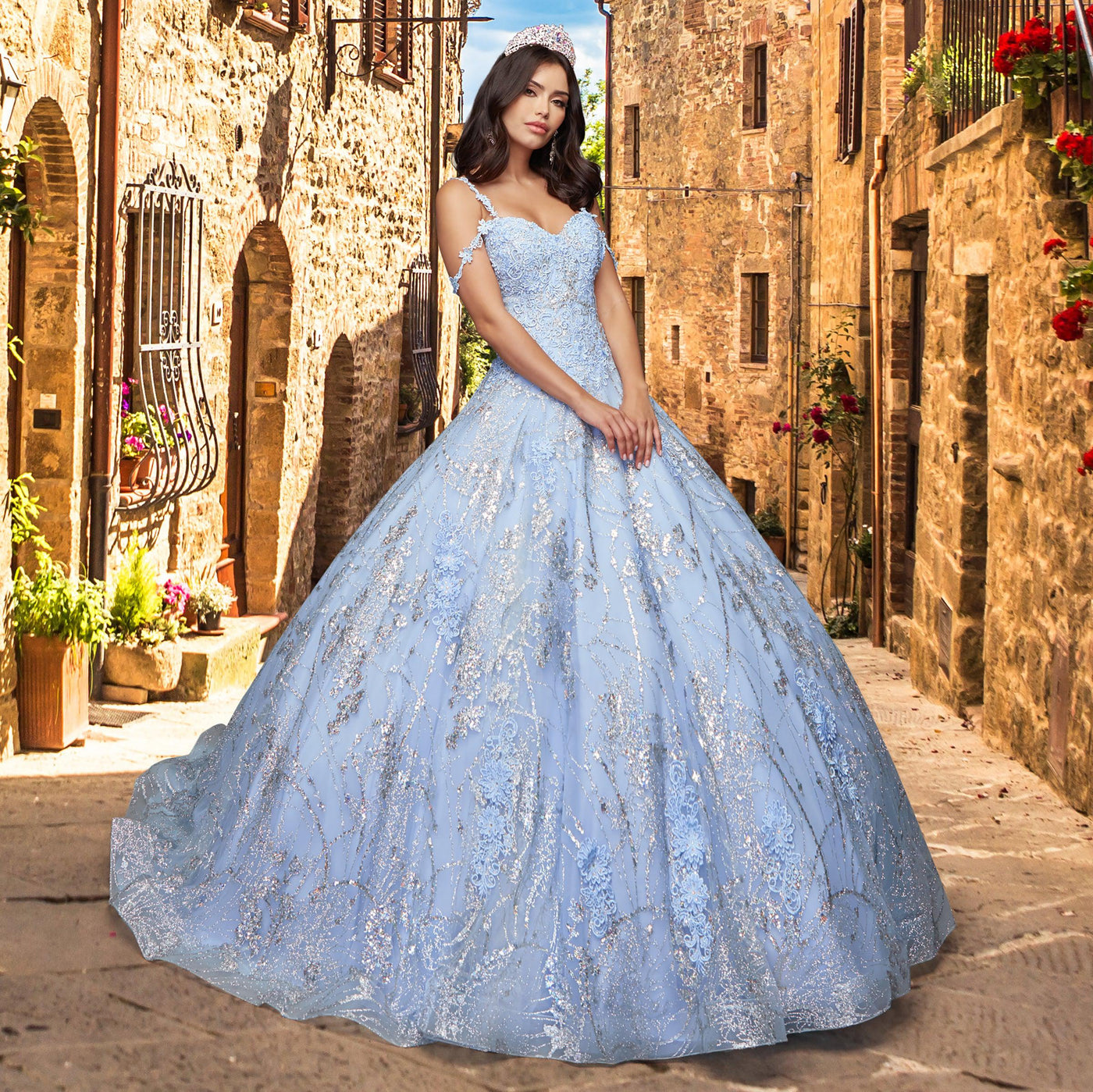 Quinceañera Dress QY301 by QuinceGirl
