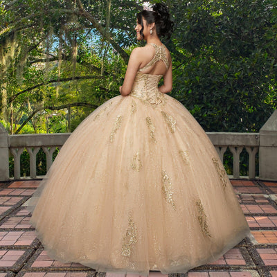 Quinceañera Dress QF111 by QuinceGirl