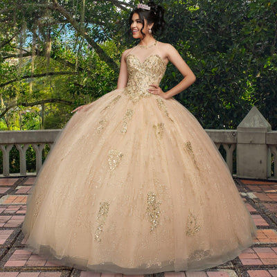 Quinceañera Dress QF111 by QuinceGirl