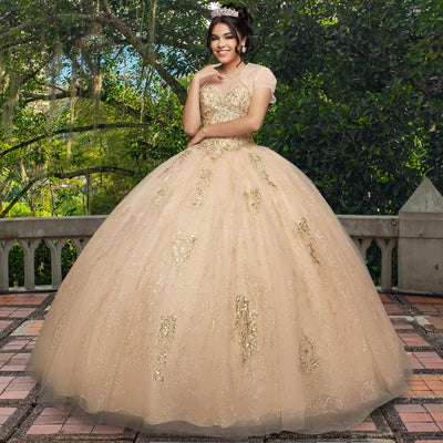 Quinceañera Dress QF111 by QuinceGirl