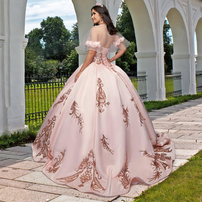 Quinceañera Dress QY309 by QuinceGirl