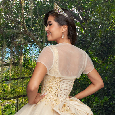 Quinceañera Dress QY310 by QuinceGirl