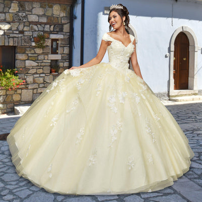 Quinceañera Dress QX411 by QuinceGirl