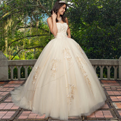 Quinceañera Dress QX403 by QuinceGirl