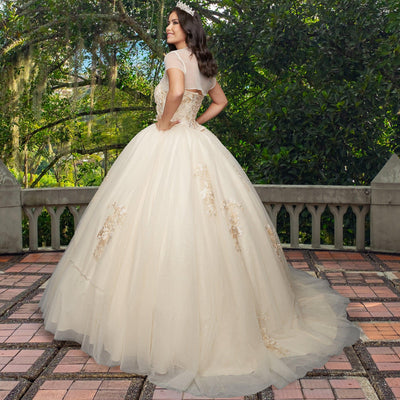 Quinceañera Dress QX403 by QuinceGirl