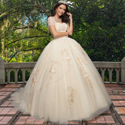 Quinceañera Dress QX403 by QuinceGirl